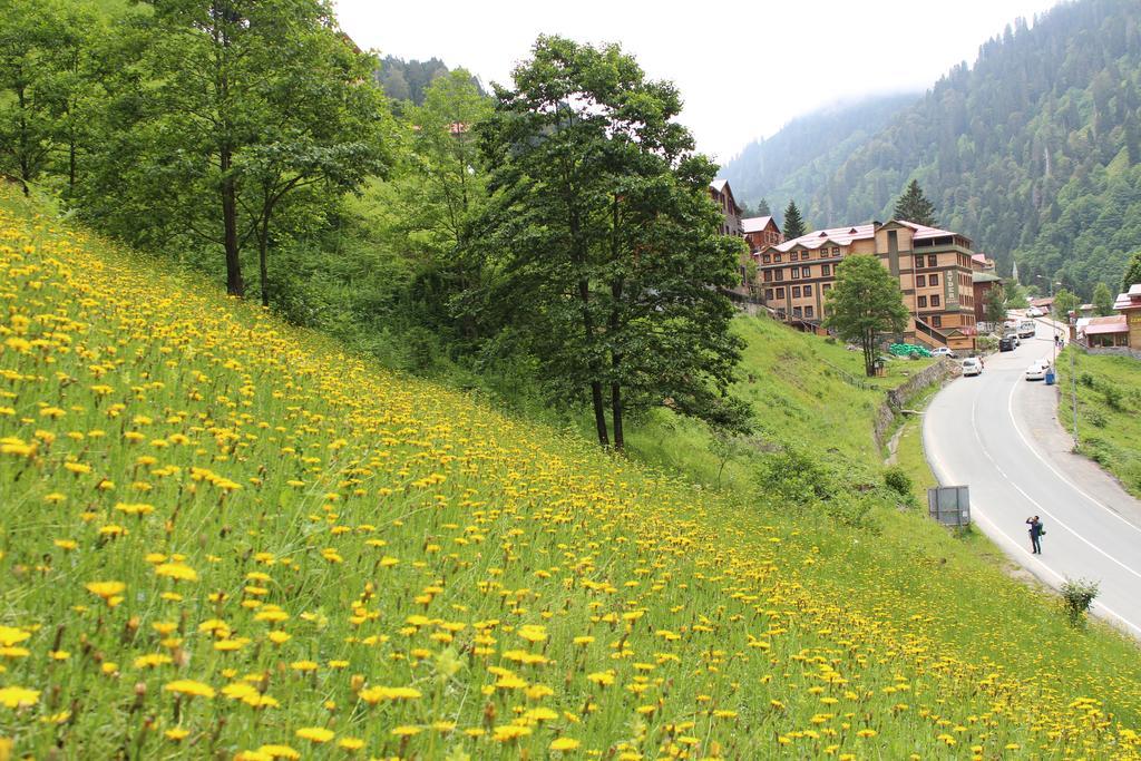 Ayder Resort Hotel Rize Exteriér fotografie